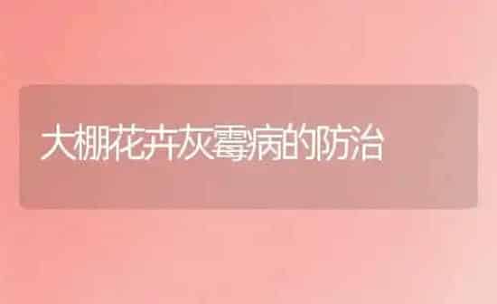 大棚花卉灰霉病的防治 | 养殖知识