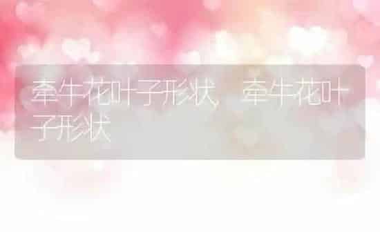 牵牛花叶子形状,牵牛花叶子形状 | 养殖科普
