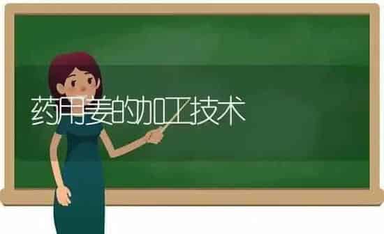 药用姜的加工技术 | 养殖技术大全