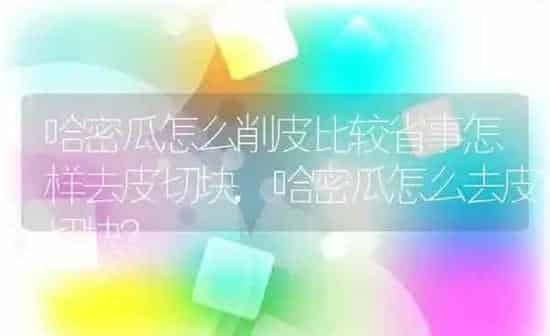 哈密瓜怎么削皮比较省事怎样去皮切块,哈密瓜怎么去皮切块？ | 养殖科普