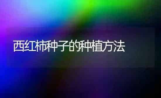 奶牛产犊后何时配种适宜 | 养殖技术大全