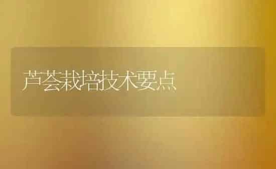 芦荟栽培技术要点 | 养殖技术大全