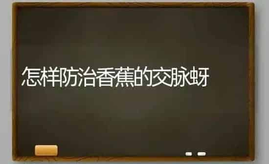怎样防治香蕉的交脉蚜 | 养殖知识