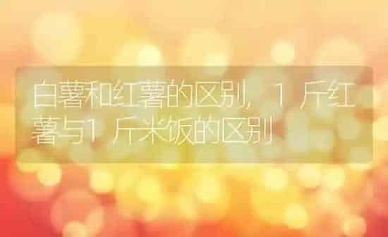 白薯和红薯的区别,1斤红薯与1斤米饭的区别 | 养殖学堂
