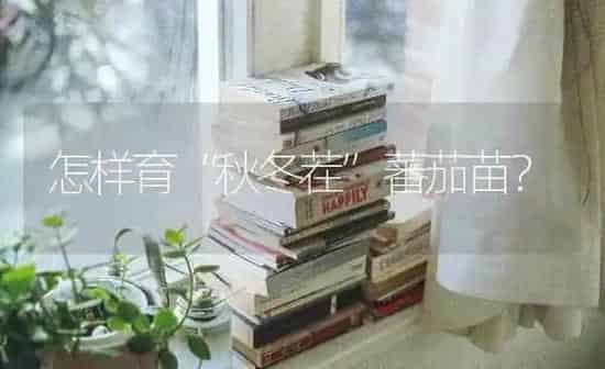 怎样育“秋冬茬”蕃茄苗? | 养殖知识