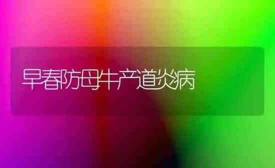 早春防母牛产道炎病 | 养殖知识