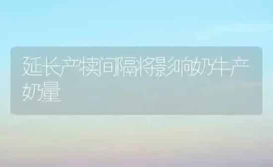 延长产犊间隔将影响奶牛产奶量 | 养殖知识