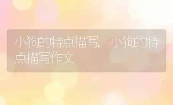 小狗的特点描写,小狗的特点描写作文 | 养殖科普
