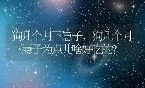 狗几个月下崽子,狗几个月下崽子为点儿啥好吃的? | 养殖科普