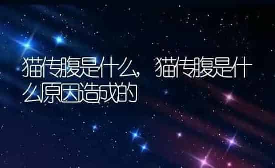 猫传腹是什么,猫传腹是什么原因造成的 | 养殖资料