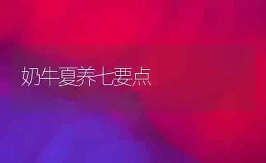 奶牛夏养七要点 | 养殖知识