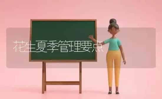 花生夏季管理要点 | 养殖知识