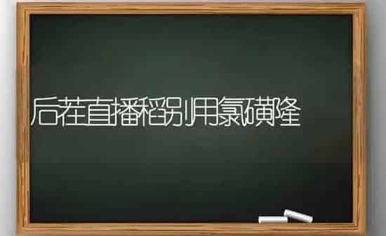后茬直播稻别用氯磺隆 | 养殖知识