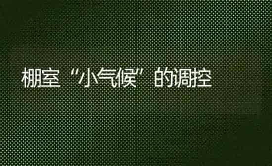 棚室“小气候”的调控 | 养殖技术大全