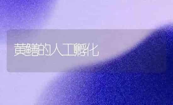 黄鳝的人工孵化 | 养殖知识