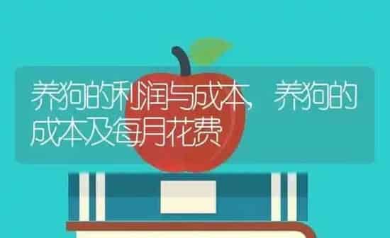 养狗的利润与成本,养狗的成本及每月花费 | 养殖科普
