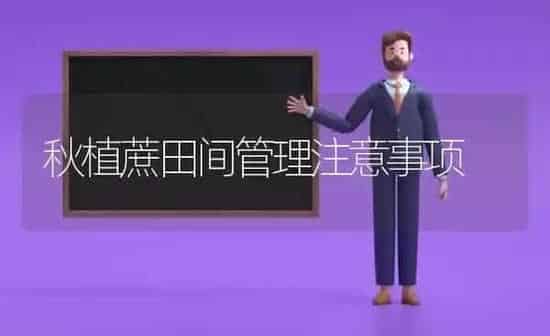 秋植蔗田间管理注意事项 | 养殖知识