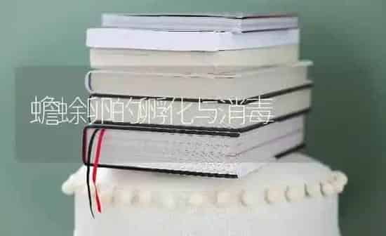 蟾蜍卵的孵化与消毒 | 养殖知识