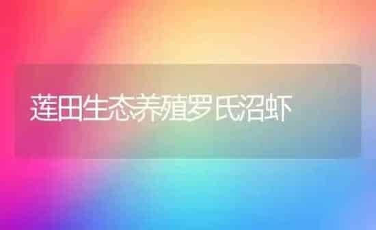 莲田生态养殖罗氏沼虾 | 养殖知识