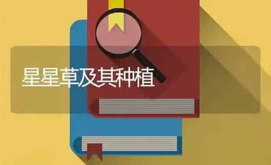 苜蓿新品种---CW400 | 养殖知识