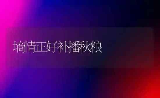 墒情正好补播秋粮 | 养殖知识