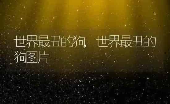 世界最丑的狗,世界最丑的狗图片 | 养殖科普