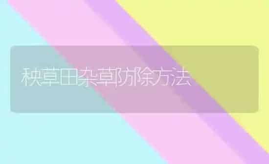 秧草田杂草防除方法 | 养殖知识