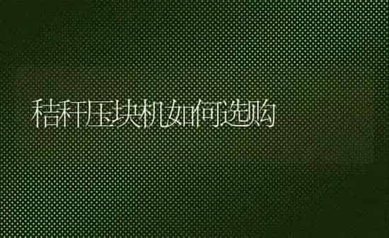 秸秆压块机如何选购 | 养殖技术大全