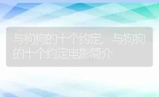 与狗狗的十个约定,与狗狗的十个约定电影简介 | 养殖科普