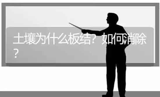 土壤为什么板结?如何消除? | 养殖技术大全