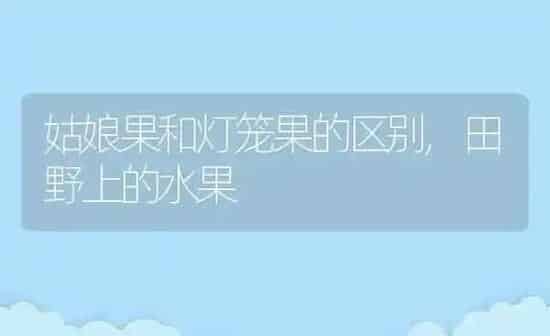 姑娘果和灯笼果的区别,田野上的水果 | 养殖学堂
