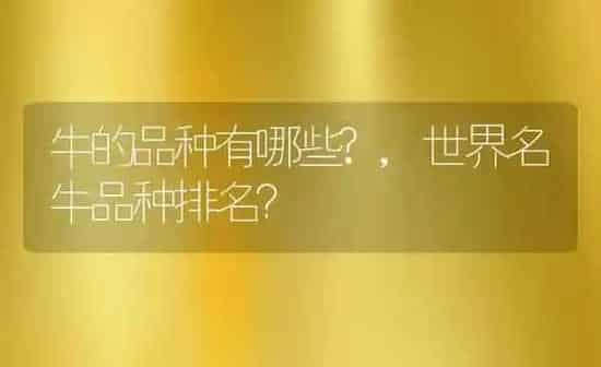 牛的品种有哪些?,世界名牛品种排名? | 养殖科普