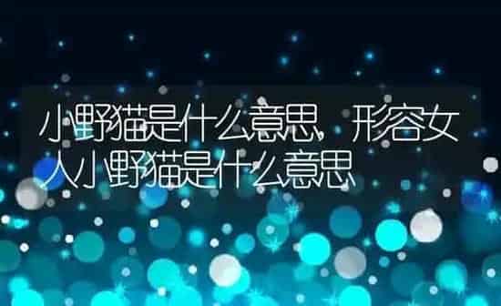 小野猫是什么意思,形容女人小野猫是什么意思 | 养殖资料