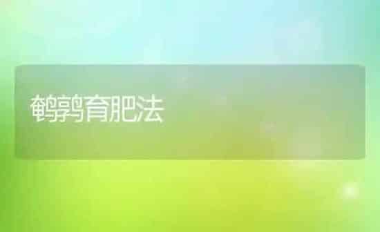 鹌鹑育肥法 | 养殖技术大全