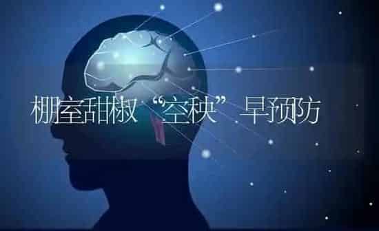 棚室甜椒“空秧”早预防 | 养殖知识