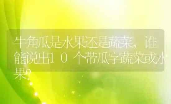 牛角瓜是水果还是蔬菜,谁能说出10个带瓜字蔬菜或水果？ | 养殖科普