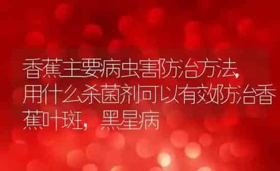 香蕉主要病虫害防治方法,用什么杀菌剂可以有效防治香蕉叶斑，黑星病 | 养殖学堂