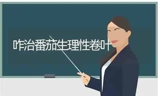 咋治番茄生理性卷叶 | 养殖知识