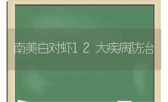 南美白对虾12大疾病防治 | 养殖知识