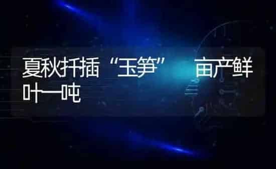 夏秋扦插“玉笋”　亩产鲜叶一吨 | 养殖知识