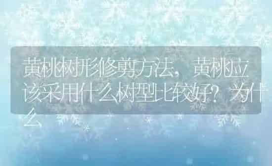 黄桃树形修剪方法,黄桃应该采用什么树型比较好？为什么 | 养殖学堂