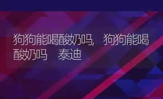 狗狗能喝酸奶吗,狗狗能喝酸奶吗 泰迪 | 养殖资料