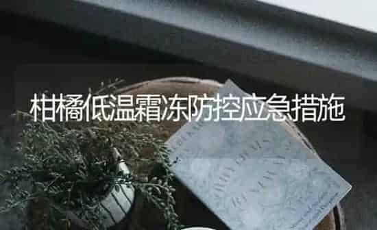 柑橘低温霜冻防控应急措施 | 养殖知识
