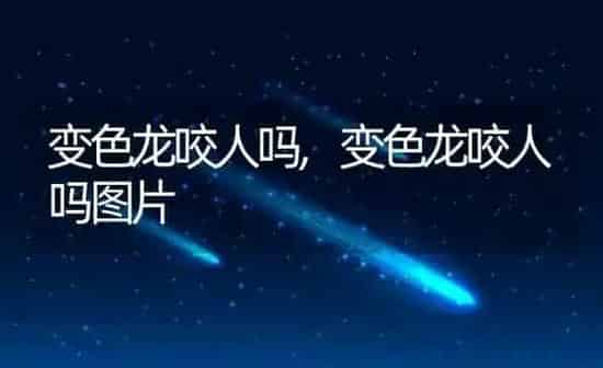 变色龙咬人吗,变色龙咬人吗图片 | 养殖资料