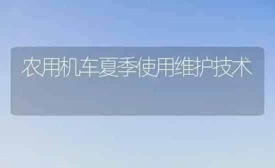 农用机车夏季使用维护技术 | 养殖知识
