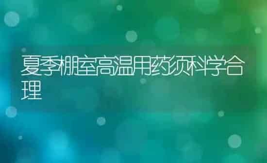 夏季棚室高温用药须科学合理 | 养殖技术大全