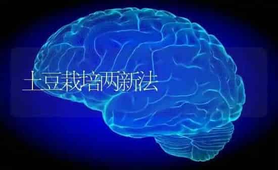 土豆栽培两新法 | 养殖知识