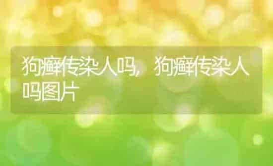 狗癣传染人吗,狗癣传染人吗图片 | 养殖科普