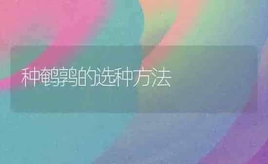 种鹌鹑的选种方法 | 养殖技术大全