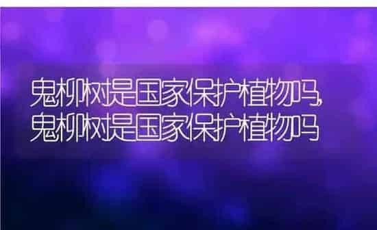 鬼柳树是国家保护植物吗,鬼柳树是国家保护植物吗 | 养殖学堂